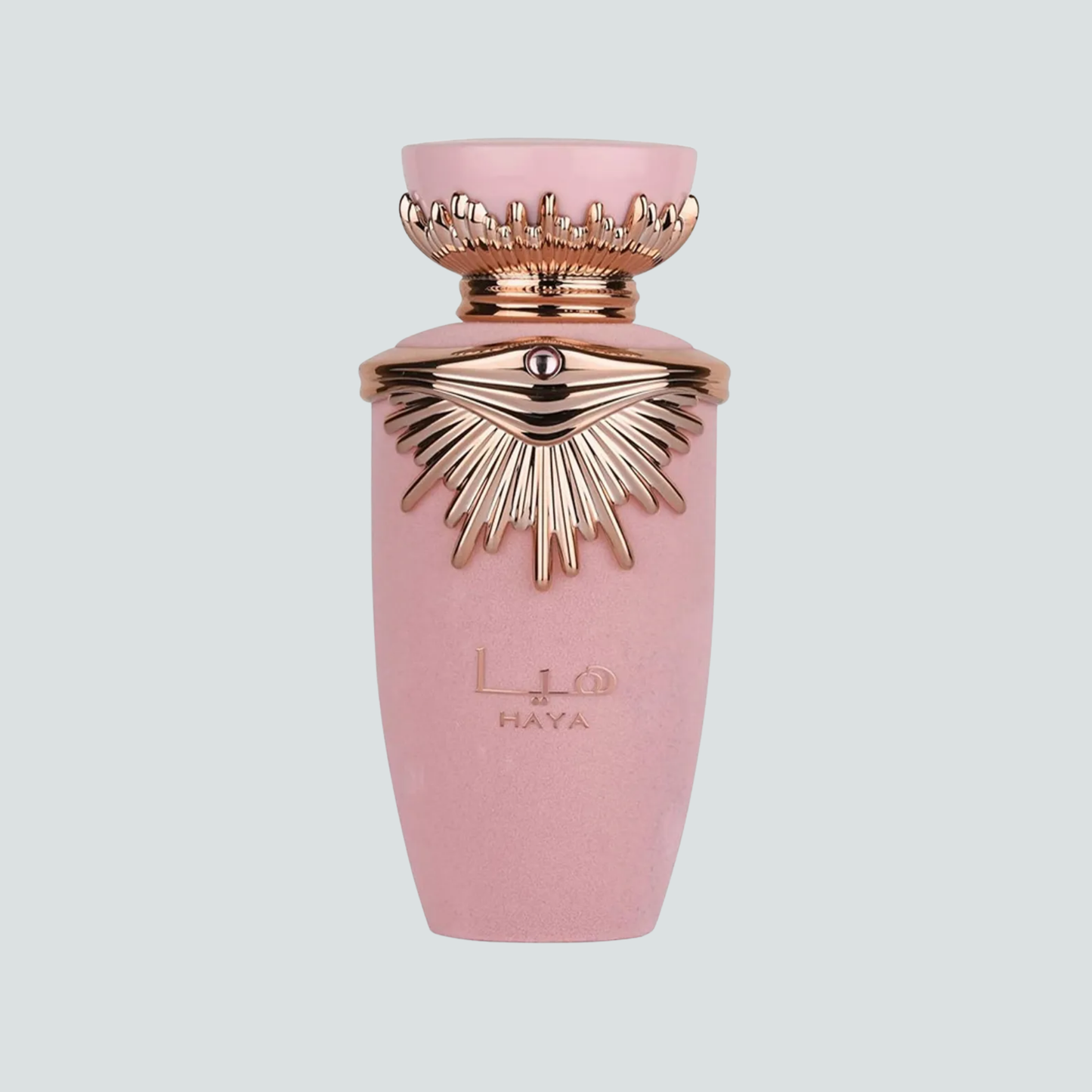 Haya Edp