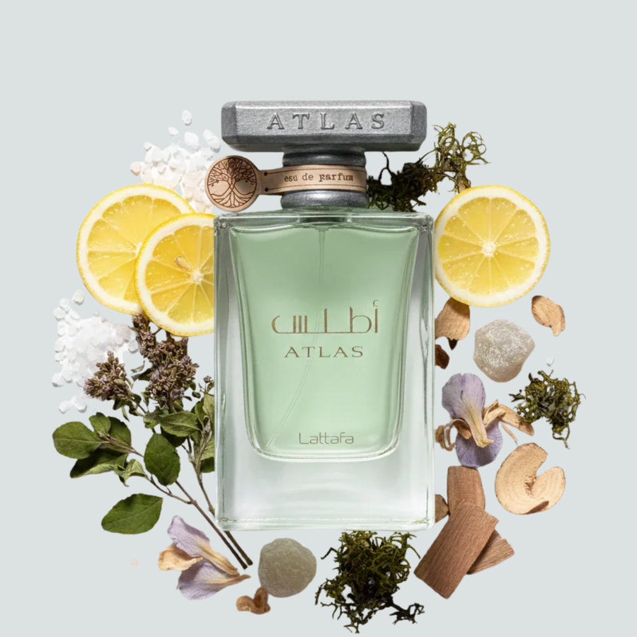 Atlas Edp