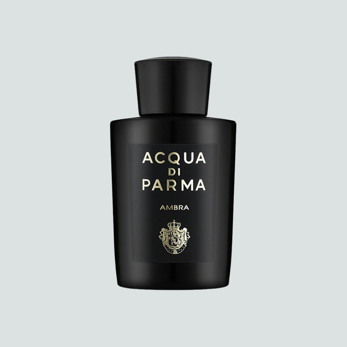 Ambar Edp