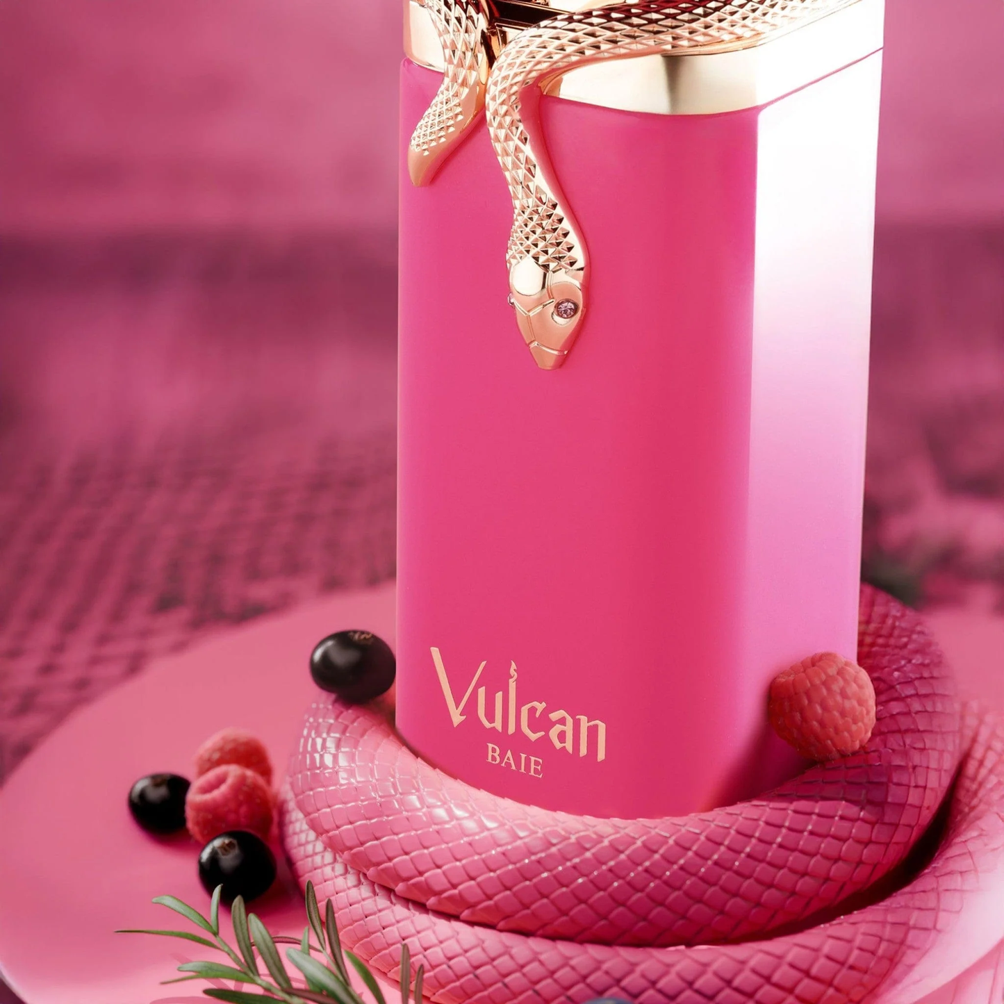 Vulcan Baie EDP