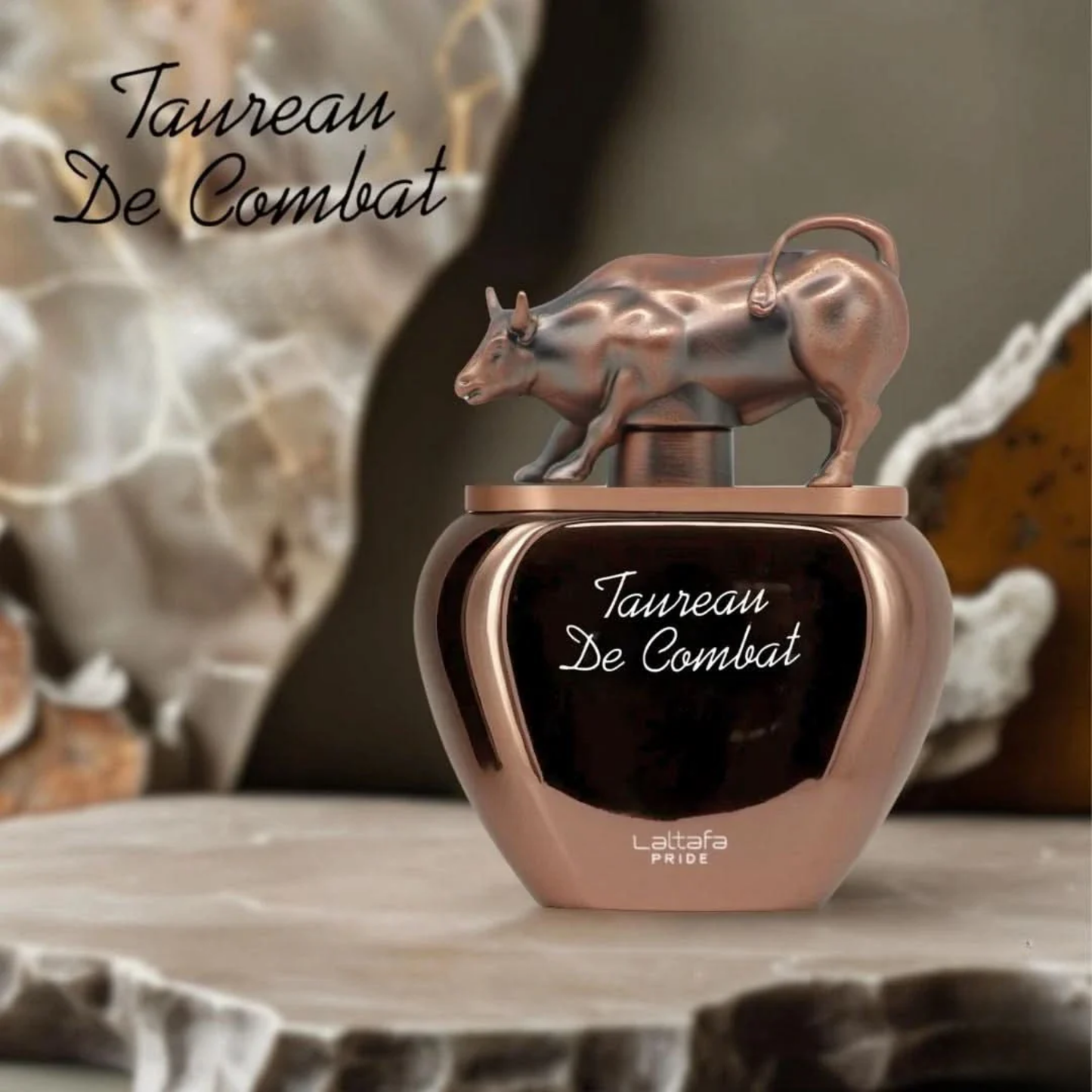 Taureau De Combat