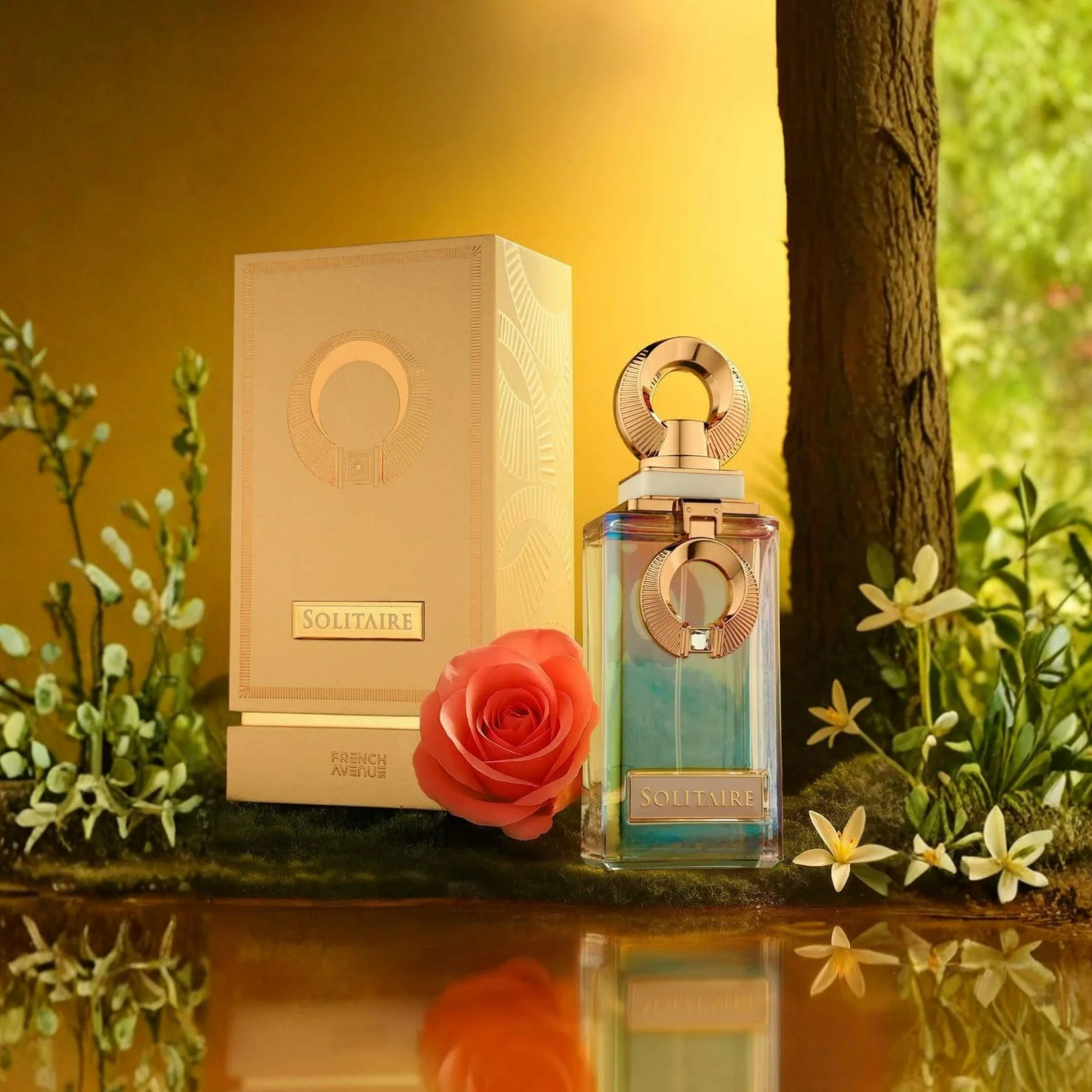 Solitarie EDP